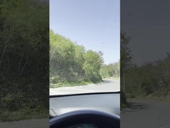 Rubber Bendable Back Wiper Blade Modieus Achterwindscherm Wiper vervanging